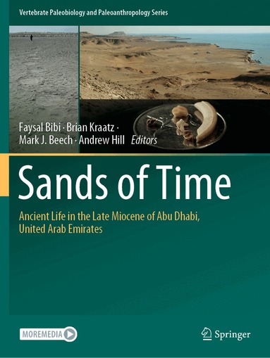 Faysal Bibi, Brian Kraatz, Mark J. Beech, Andrew Hill - Sands of Time, Häftad