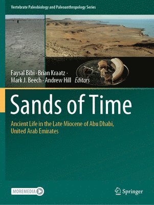 bokomslag Sands of Time