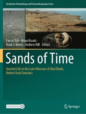Sands of Time 1
