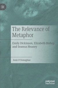 bokomslag The Relevance of Metaphor