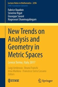 bokomslag New Trends on Analysis and Geometry in Metric Spaces