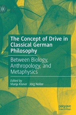 bokomslag Concept of Drive in Classical German Philosophy