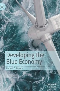 bokomslag Developing the Blue Economy