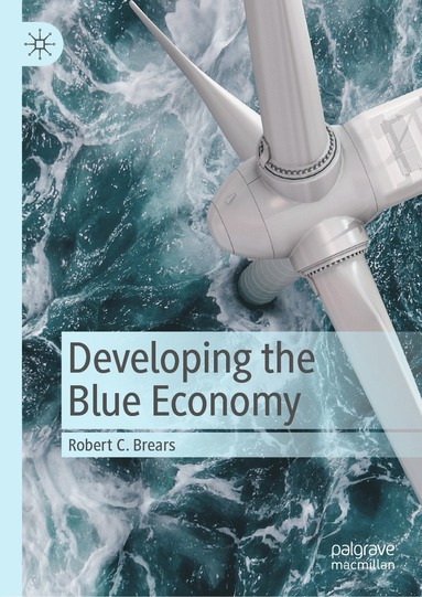 bokomslag Developing the Blue Economy