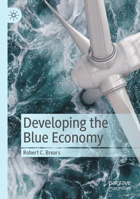 bokomslag Developing the Blue Economy