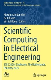 bokomslag Scientific Computing in Electrical Engineering