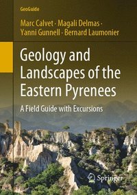 bokomslag Geology and Landscapes of the Eastern Pyrenees