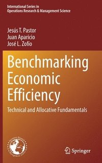 bokomslag Benchmarking Economic Efficiency