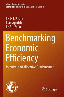 bokomslag Benchmarking Economic Efficiency