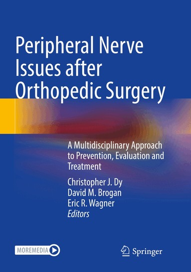 Christopher J. Dy, David M. Brogan, Eric R. Wagner - Peripheral Nerve Issues after Orthopedic Surgery, Häftad