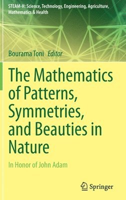 bokomslag The Mathematics of Patterns, Symmetries, and Beauties in Nature