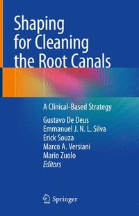 bokomslag Shaping for Cleaning the Root Canals