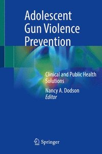 bokomslag Adolescent Gun Violence Prevention