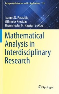 bokomslag Mathematical Analysis in Interdisciplinary Research