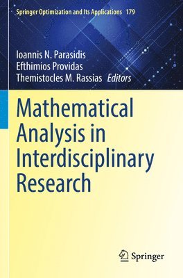 bokomslag Mathematical Analysis in Interdisciplinary Research