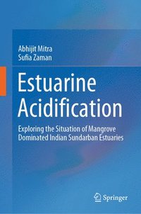 bokomslag Estuarine Acidification