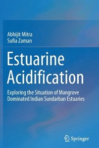 bokomslag Estuarine Acidification