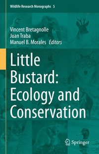 bokomslag Little Bustard: Ecology and Conservation