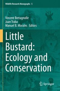 bokomslag Little Bustard: Ecology and Conservation
