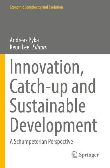 Andreas Pyka, Keun Lee - Innovation, Catch-up and Sustainable Development, Häftad