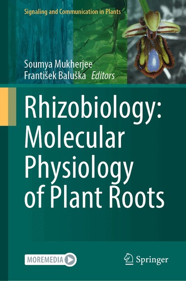 Soumya Mukherjee, František Baluška - Rhizobiology: Molecular Physiology of Plant Roots, Inbunden