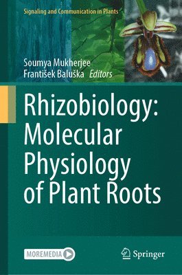 bokomslag Rhizobiology: Molecular Physiology of Plant Roots