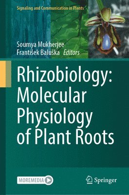 Rhizobiology: Molecular Physiology of Plant Roots 1