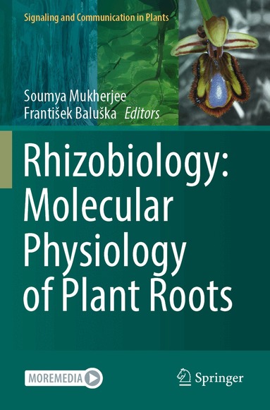 Soumya Mukherjee, František Baluška - Rhizobiology: Molecular Physiology of Plant Roots, Häftad