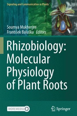 bokomslag Rhizobiology: Molecular Physiology of Plant Roots