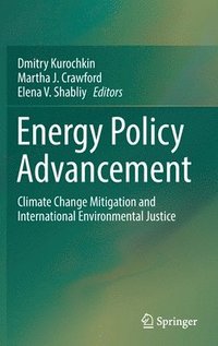 bokomslag Energy Policy Advancement