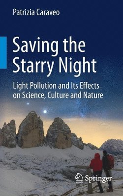 Saving the Starry Night 1