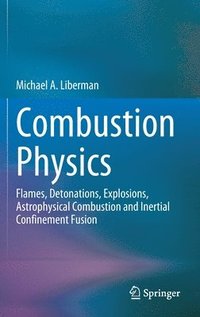 bokomslag Combustion Physics