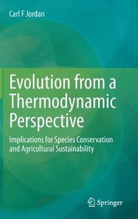 bokomslag Evolution from a Thermodynamic Perspective