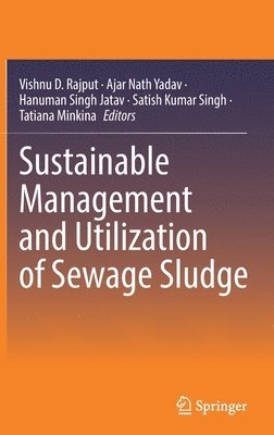 bokomslag Sustainable Management and Utilization of Sewage Sludge