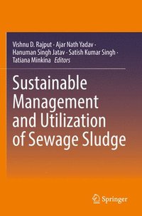 bokomslag Sustainable Management and Utilization of Sewage Sludge