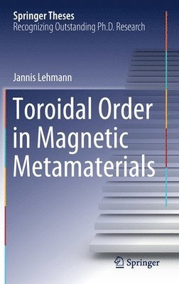 Jannis Lehmann - Toroidal Order in Magnetic Metamaterials, Inbunden