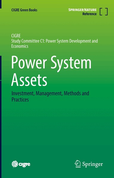 Graeme Ancell, Gary L. Ford, Earl S. Hill, Jody Levine, Christopher Reali, Eric Rijks, Gérald Sanchis - Power System Assets, Inbunden