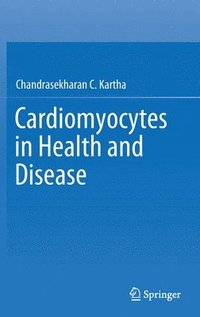 bokomslag Cardiomyocytes in Health and Disease