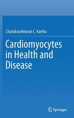 bokomslag Cardiomyocytes in Health and Disease