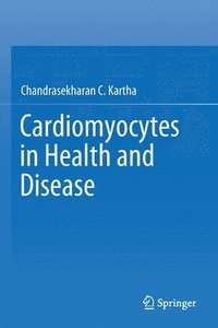 bokomslag Cardiomyocytes in Health and Disease