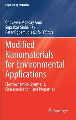 bokomslag Modified Nanomaterials for Environmental Applications