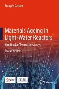 bokomslag Materials Ageing in Light-Water Reactors
