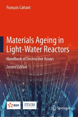 bokomslag Materials Ageing in Light-Water Reactors