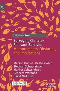 bokomslag Surveying Climate-Relevant Behavior