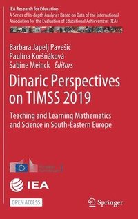 bokomslag Dinaric Perspectives on TIMSS 2019