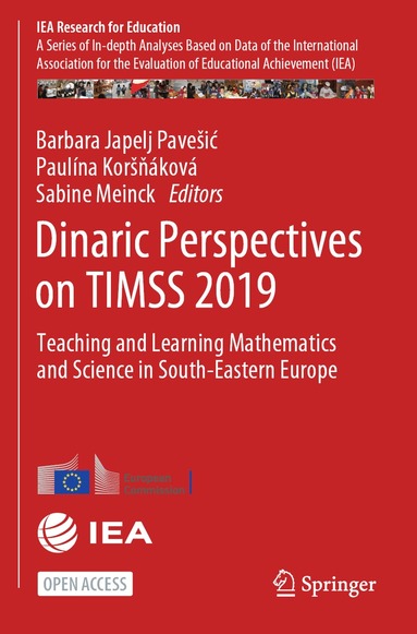 Barbara Japelj Pavešić, Paulína Koršňáková, Sabine Meinck - Dinaric Perspectives on TIMSS 2019, Häftad