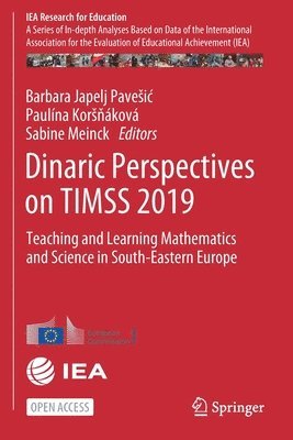 bokomslag Dinaric Perspectives on TIMSS 2019