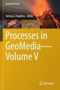 bokomslag Processes in GeoMedia-Volume V
