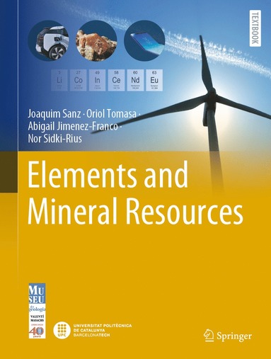 bokomslag Elements and Mineral Resources