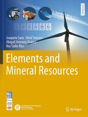 bokomslag Elements and Mineral Resources